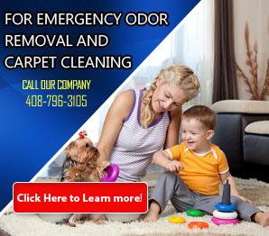 Contact Us | 408-796-3105 | Carpet Cleaning Milpitas, CA